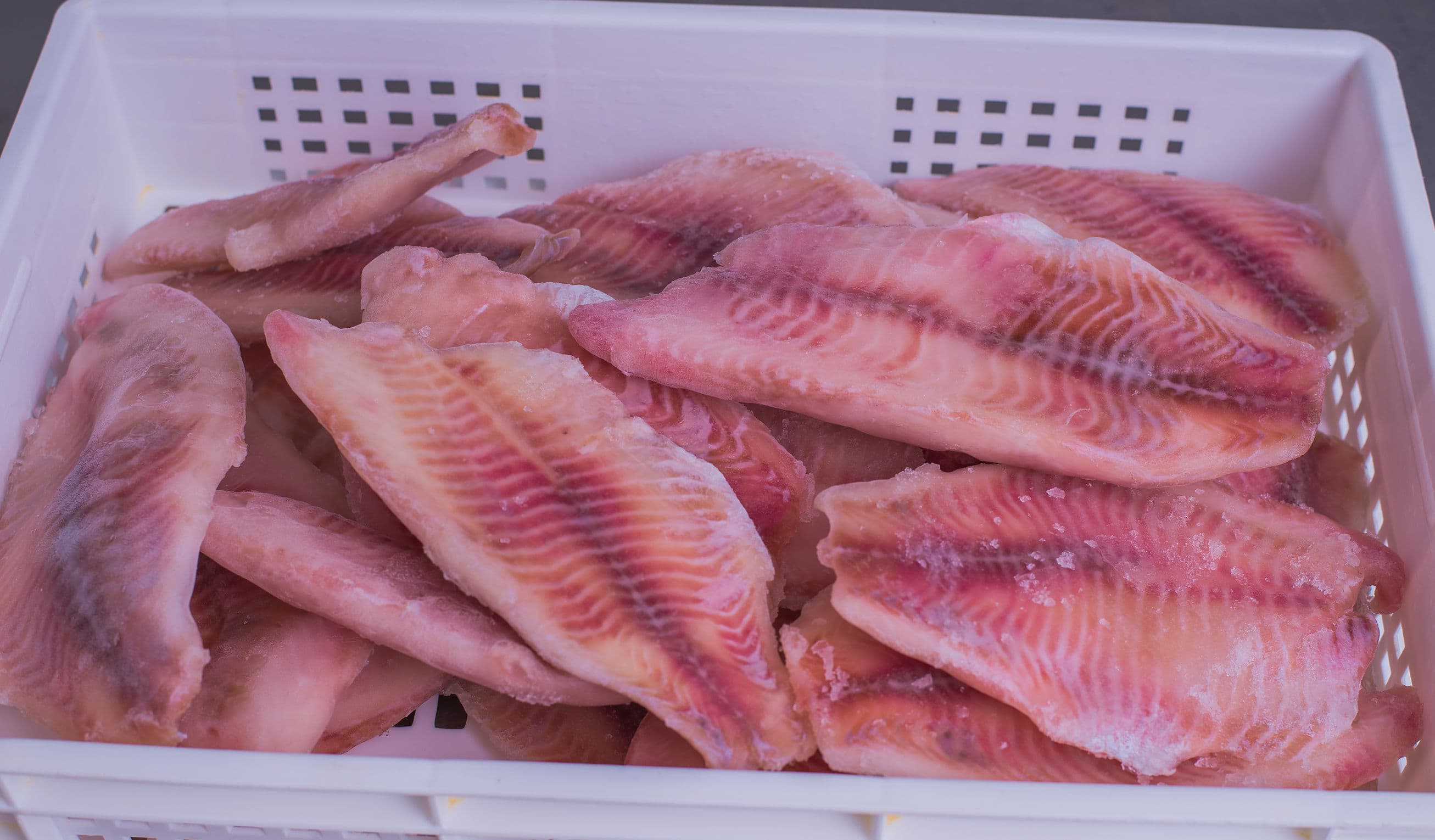 Tilapia Fillets